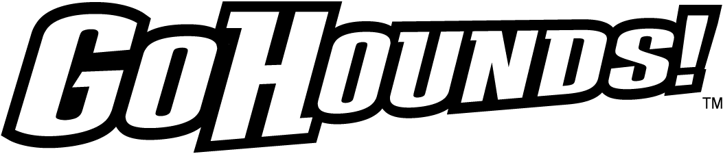 Loyola-Maryland Greyhounds 2011-Pres Wordmark Logo v5 t shirts iron on transfers